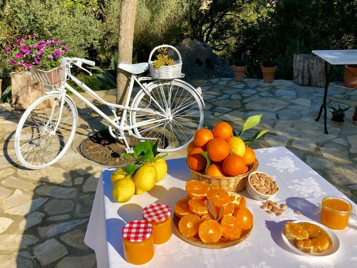 Agroturismo Can Guillo Pollença 0*,