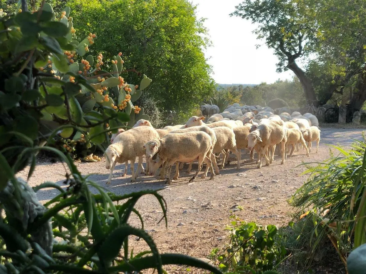Agroturismo Can Guillo Pollença Séjour à la ferme