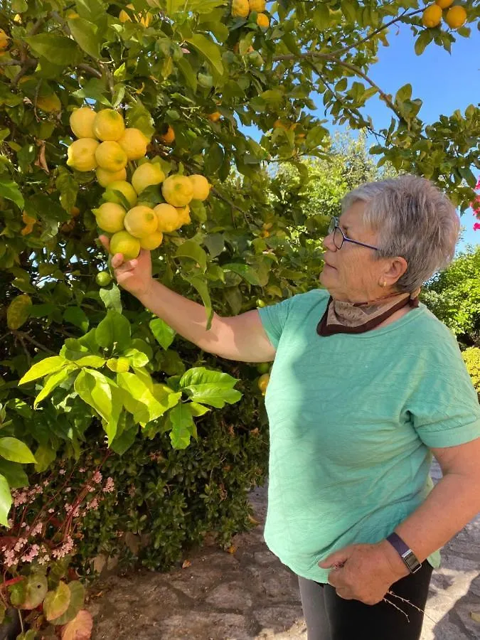 Agroturismo Can Guillo Pollenca Farm stay